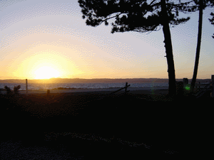 img25.gif
