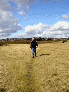 img43.gif