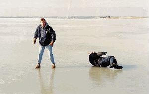 img66.gif
